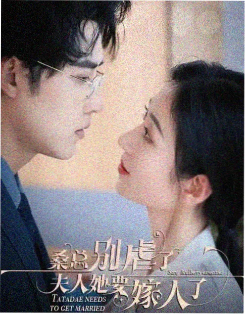 星光影院 雾港迷城 剧集在线观看